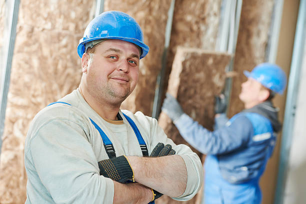 Best Residential Insulation in Bad Axe, MI